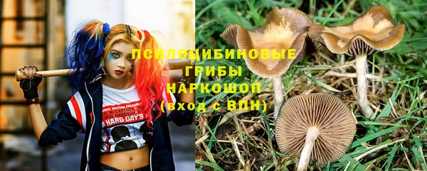 трава Абдулино