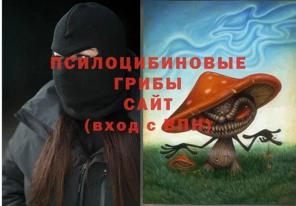 apvp Абаза