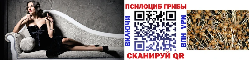 Псилоцибиновые грибы Magic Shrooms  Череповец 